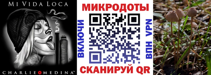 Купить закладки  Щёлкино  Галлюциногенные грибы мухоморы 
